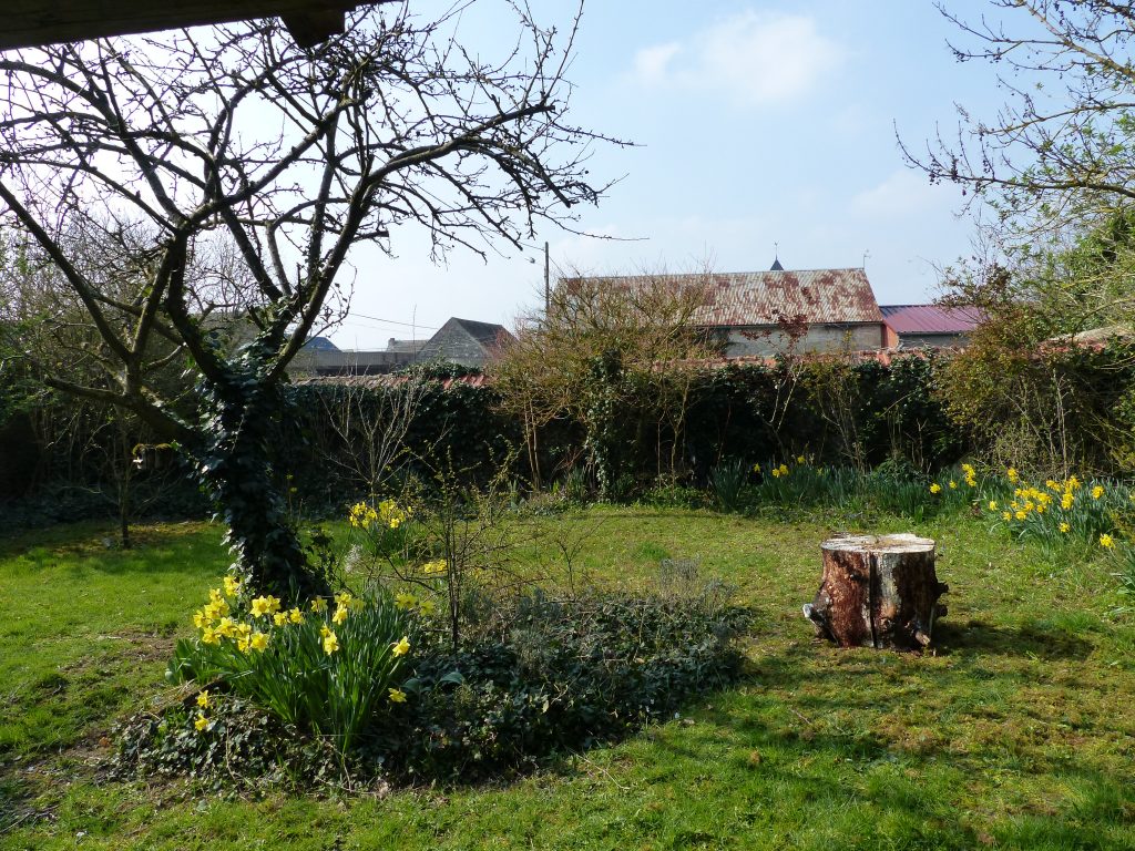 Je travaille mon bois!!