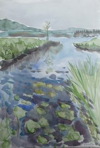 lac des lac des mortes avec des Nènuphares
